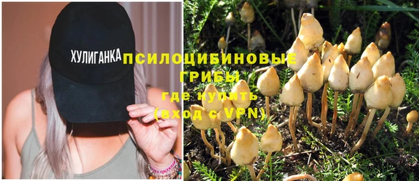 марихуана Абаза