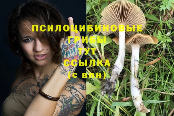 марихуана Абаза
