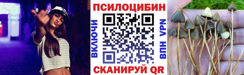 Псилоцибиновые грибы прущие грибы  Шебекино 